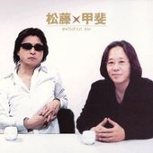 松藤甲斐