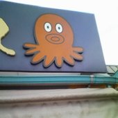 Polpos legs are just8!!