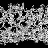 LxFxOxBxEx logo