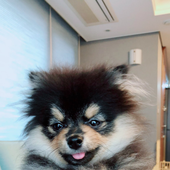 tAECCI 的头像