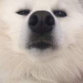 grajek99 的头像