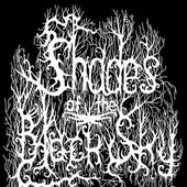 Shades Of The Black Sky logo
