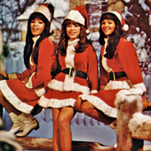 The Ronettes-27.png