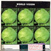 WORLD VISION