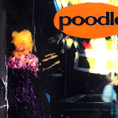 Poodle SWE.png