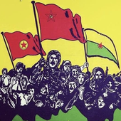 pedrola_marola 的头像