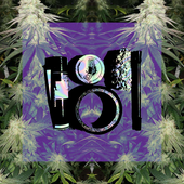 Ofensywa 的头像