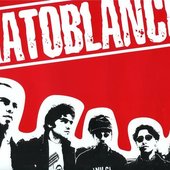 Ratoblanco.jpg
