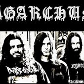 Agarchus