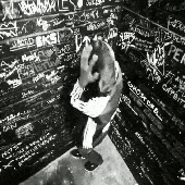 kate moss mv