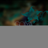 Avatar for olhol