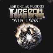 What I Want - Single