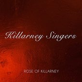 Rose of Killarney