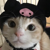 dearestlovingly 的头像