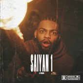 Saiyan 1