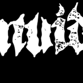 Iarnvidjur logo
