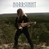 Norrsinnt.jpg