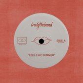 Feel Like Summer - Single