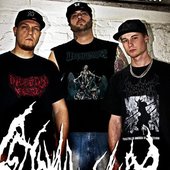 EPICardiectomy