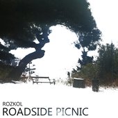 Roadside Picnic