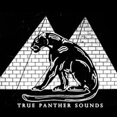 True Panther Sounds.jpg