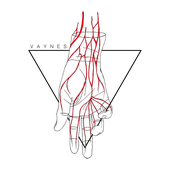 VAYNES Logo