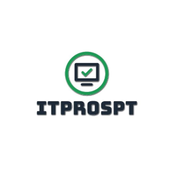 Avatar for itprospt39