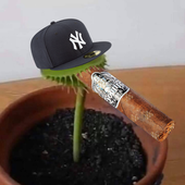 Vapourium 的头像