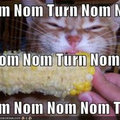 None