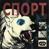 Спорт