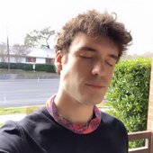 tolanpic.jpg