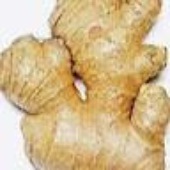 FriedGinger 的头像