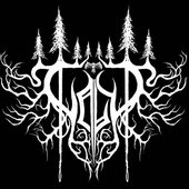 Talv - Official logo