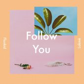 Follow You