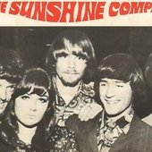 The Sunshine Company_5.jpg