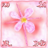 Radiant Love IWD Comp Vol 3