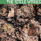 The Icicle Works