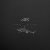 Адаптация