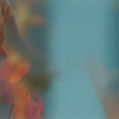 passage through the insubstantial