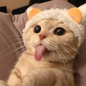 mxrkwxlk 的头像