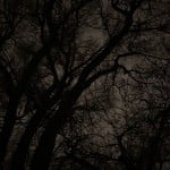 IMG_2864.jpeg