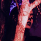 VEINS