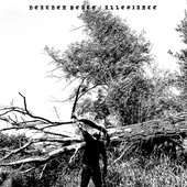 LP album art