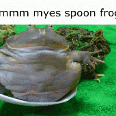 Avatar für pymehry