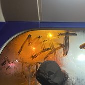 IMG_1900.jpg