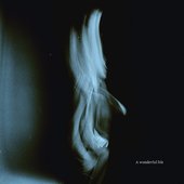 A Wonderful Life [Explicit]