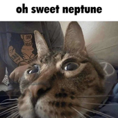 noticedante 的头像