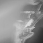 0013183947_10.jpg
