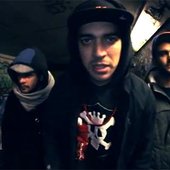 XVI