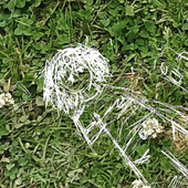 paper_cutout 的头像